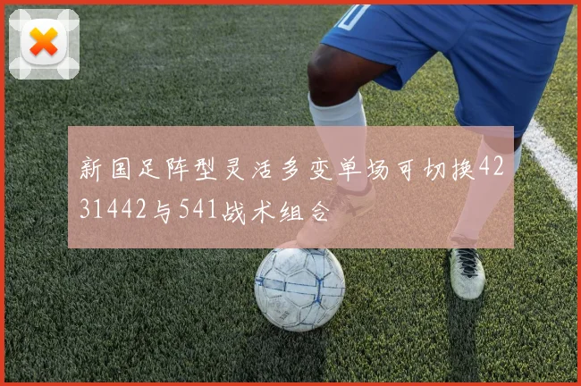 新国足阵型灵活多变单场可切换4231442与541战术组合