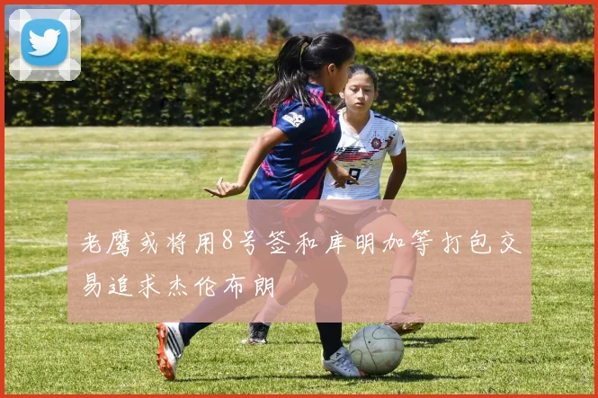 老鹰或将用8号签和库明加等打包交易追求杰伦布朗