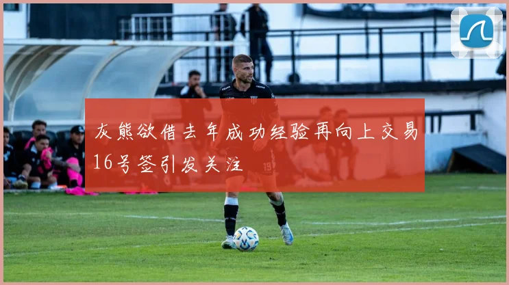 灰熊欲借去年成功经验再向上交易16号签引发关注